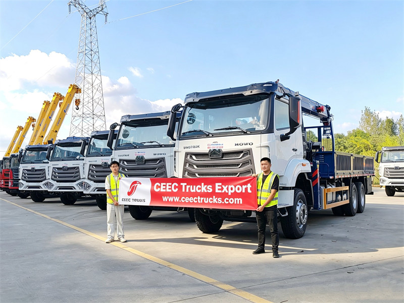 5 unități de macarale montate pe camion HOWO livrate în Angola